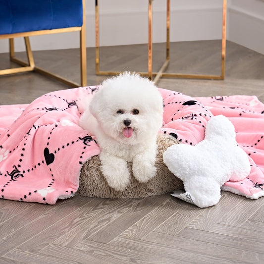 Pet Blanket & Pillow Set - Pink - Juicy Couture