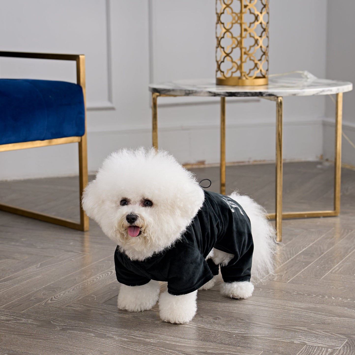 Bling Velour Pet Tracksuit - Black - Juicy Couture