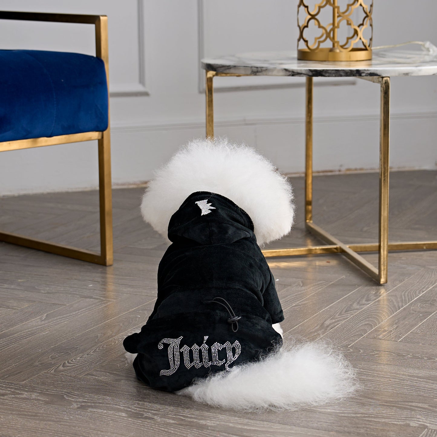 Bling Velour Pet Tracksuit - Black - Juicy Couture