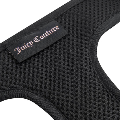 Bling Velour Pet Harness and Leash Set - Black - Juicy Couture