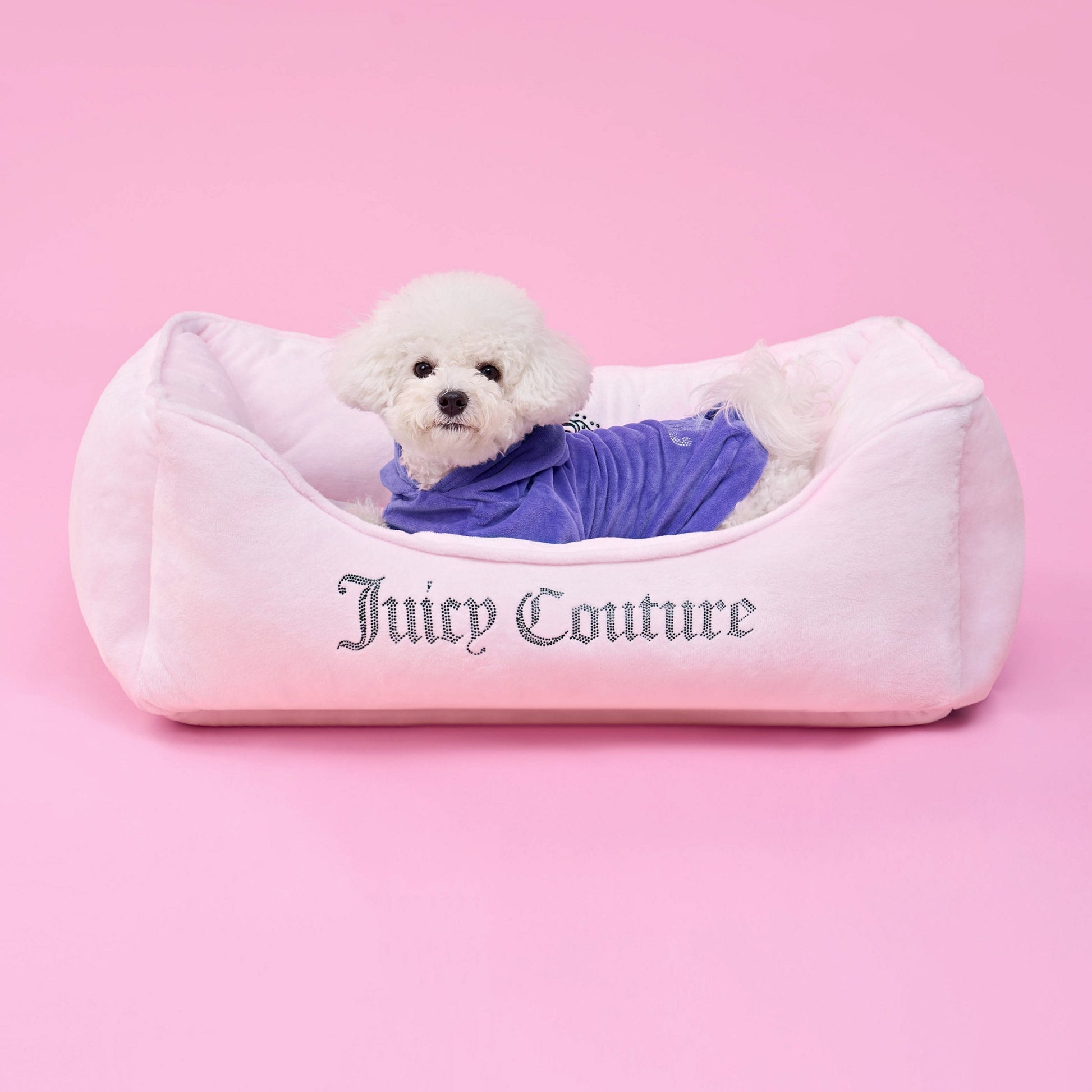 Bling Velour Pet Hoodie - Royal Purple - Juicy Couture