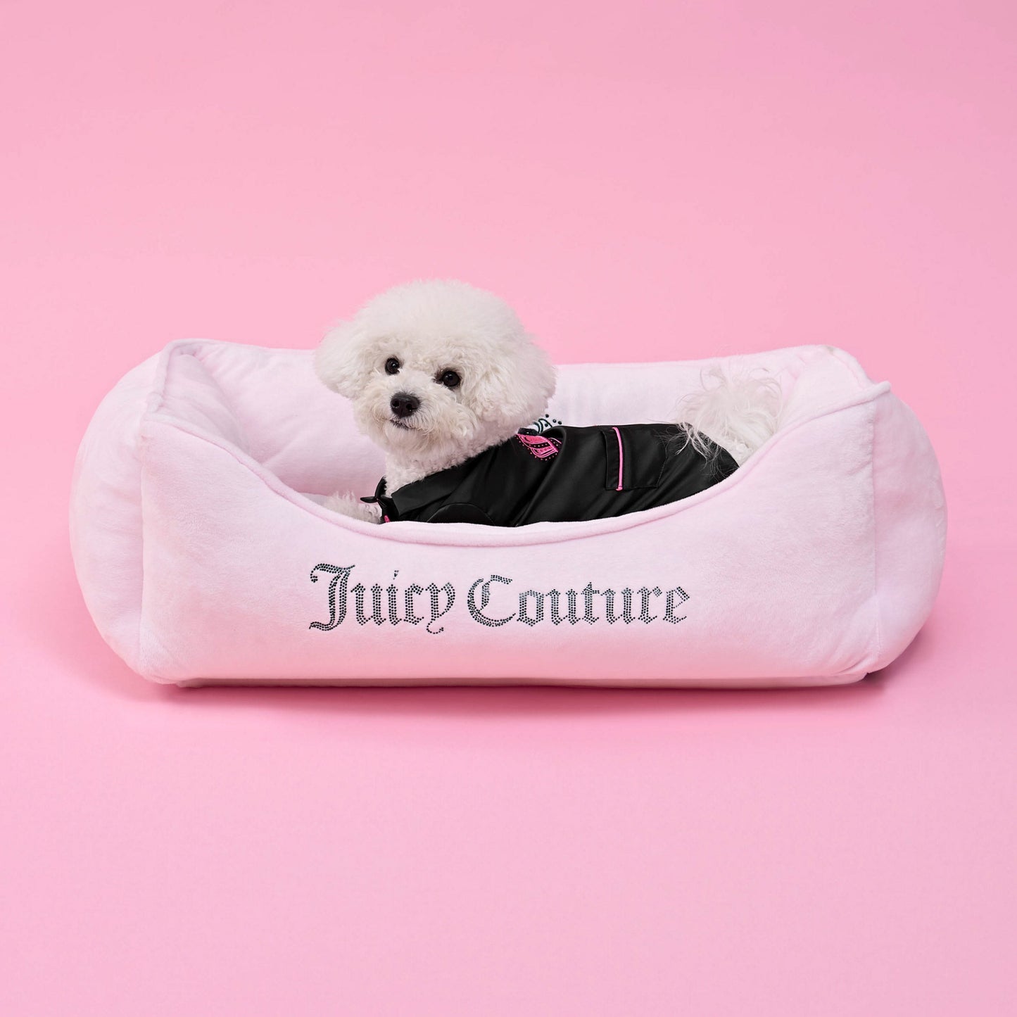 Juicy Couture Pet Silky Satin Pajamas - Black - Juicy Couture