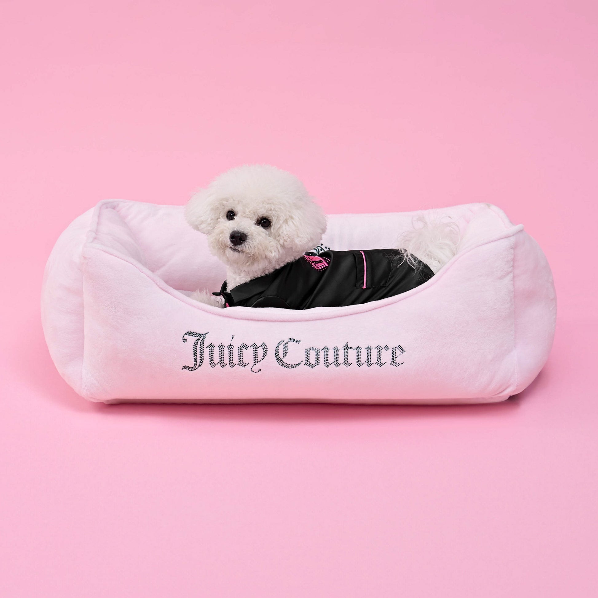 Juicy Couture Pet Silky Satin Pajamas - Black - Juicy Couture