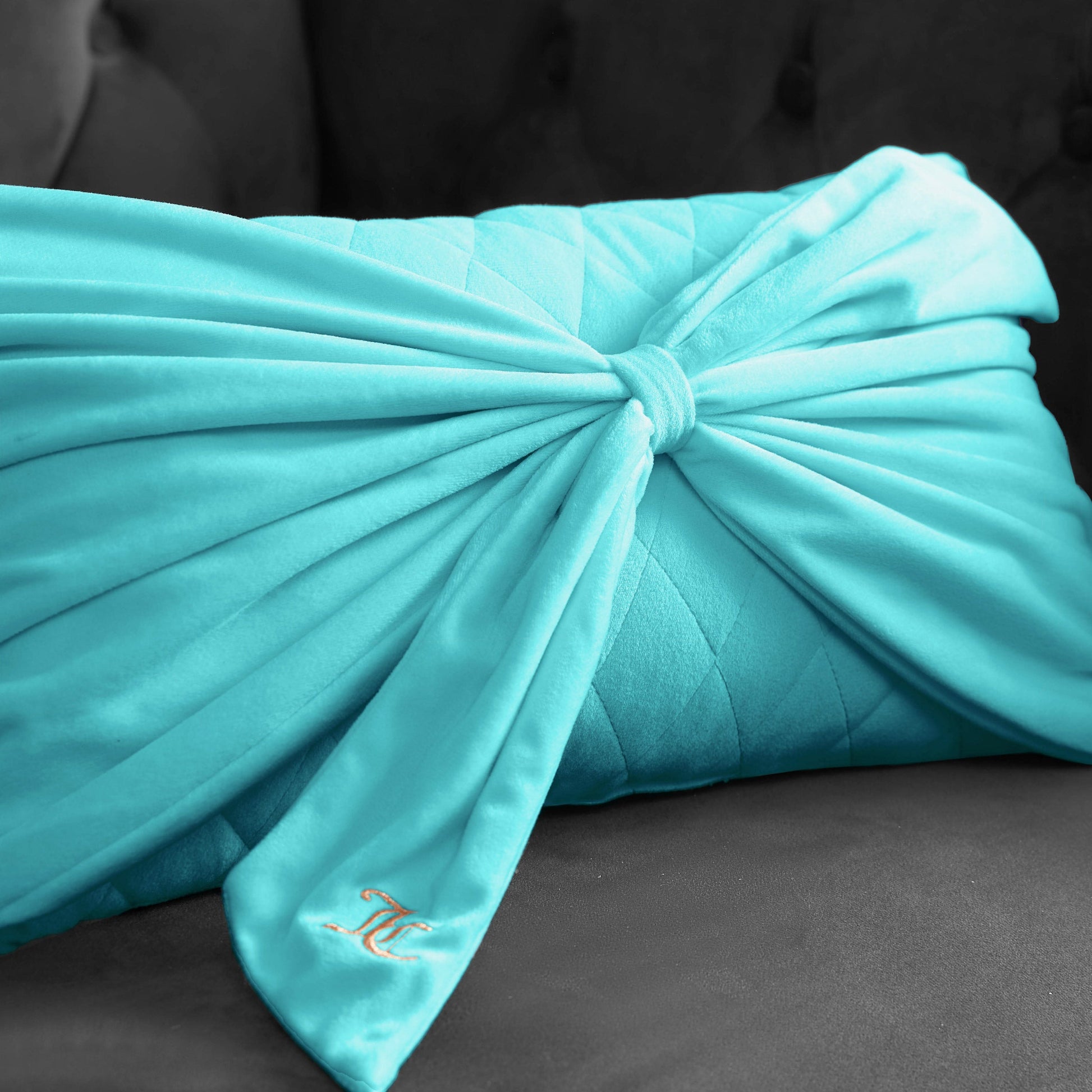 Velvet Bow Decorative Pillow - Blue Crush - Juicy Couture
