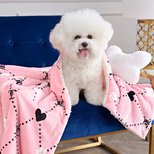Pet Blanket & Pillow Set - Pink - Juicy Couture