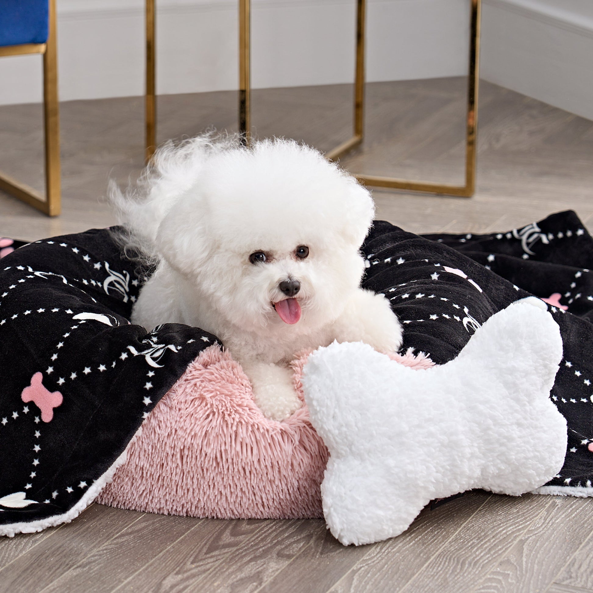 Pet Blanket & Pillow Set - Black - Juicy Couture