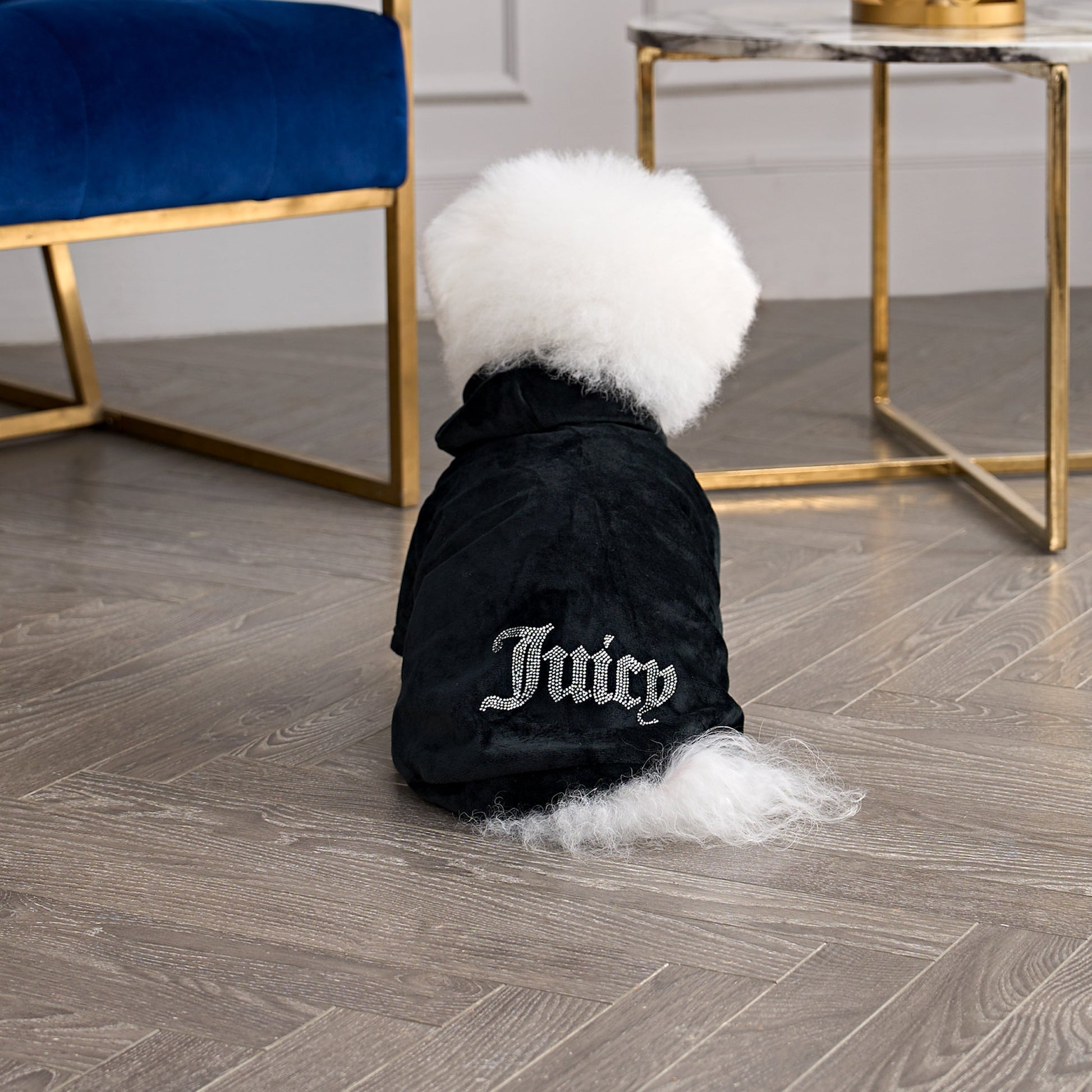 Bling Velour Pet Hoodie - Black - Juicy Couture