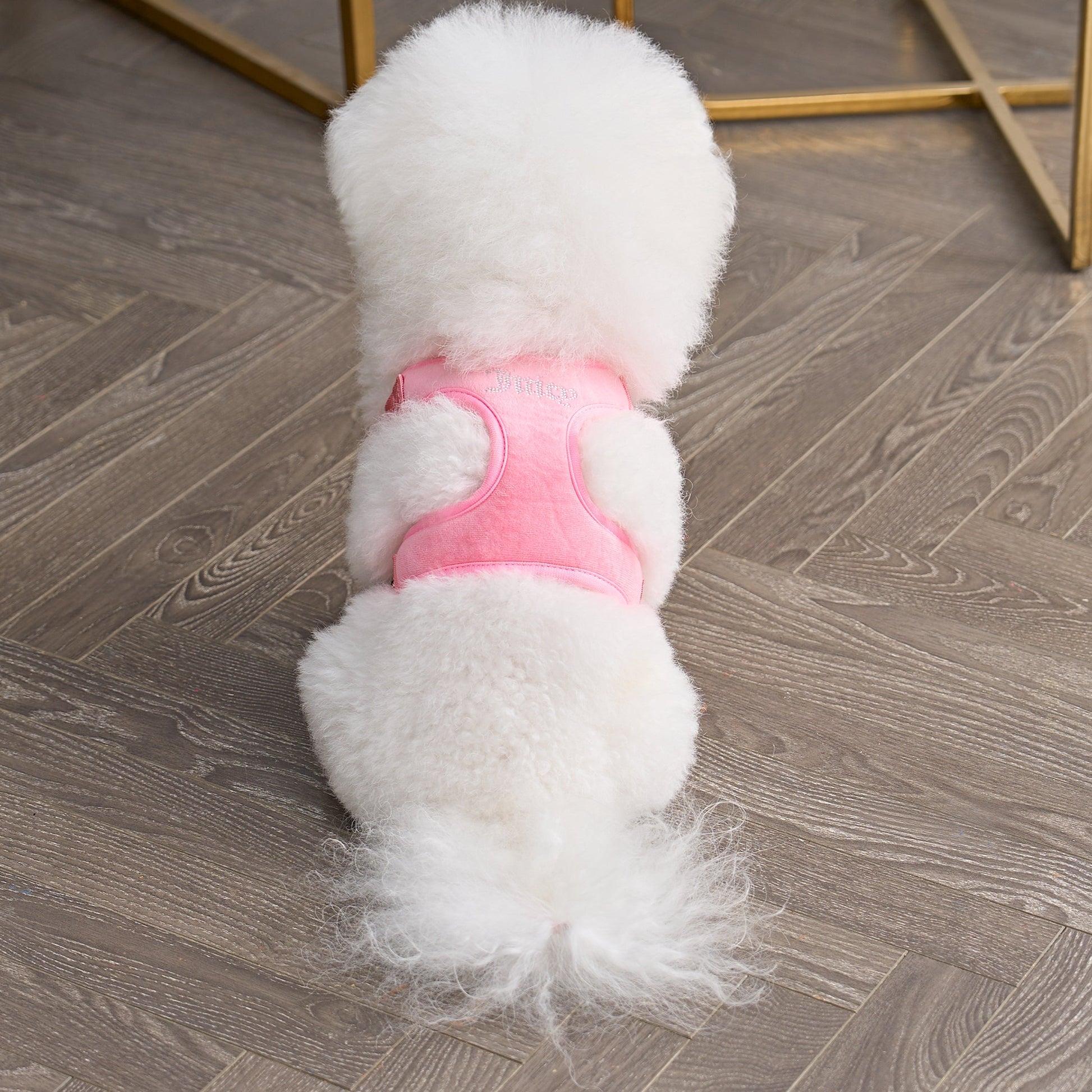 Bling Velour Pet Harness and Leash Set - Pink - Juicy Couture